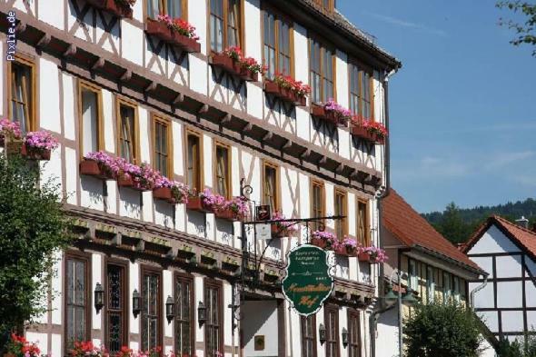 Hotel Neustadter Hof Titisee-Neustadt Exteriör bild